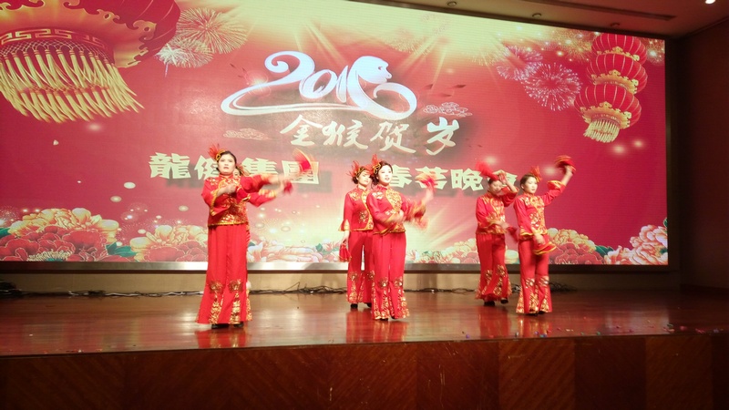2016龙健集团春茗晚会